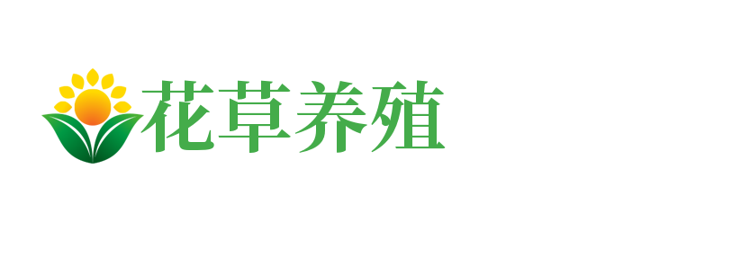 河南省南阳市镇平县湖多舍食品饮料加工设备股份有限公司,湛江河南省南阳市镇平县湖多舍食品饮料加工设备股份有限公司